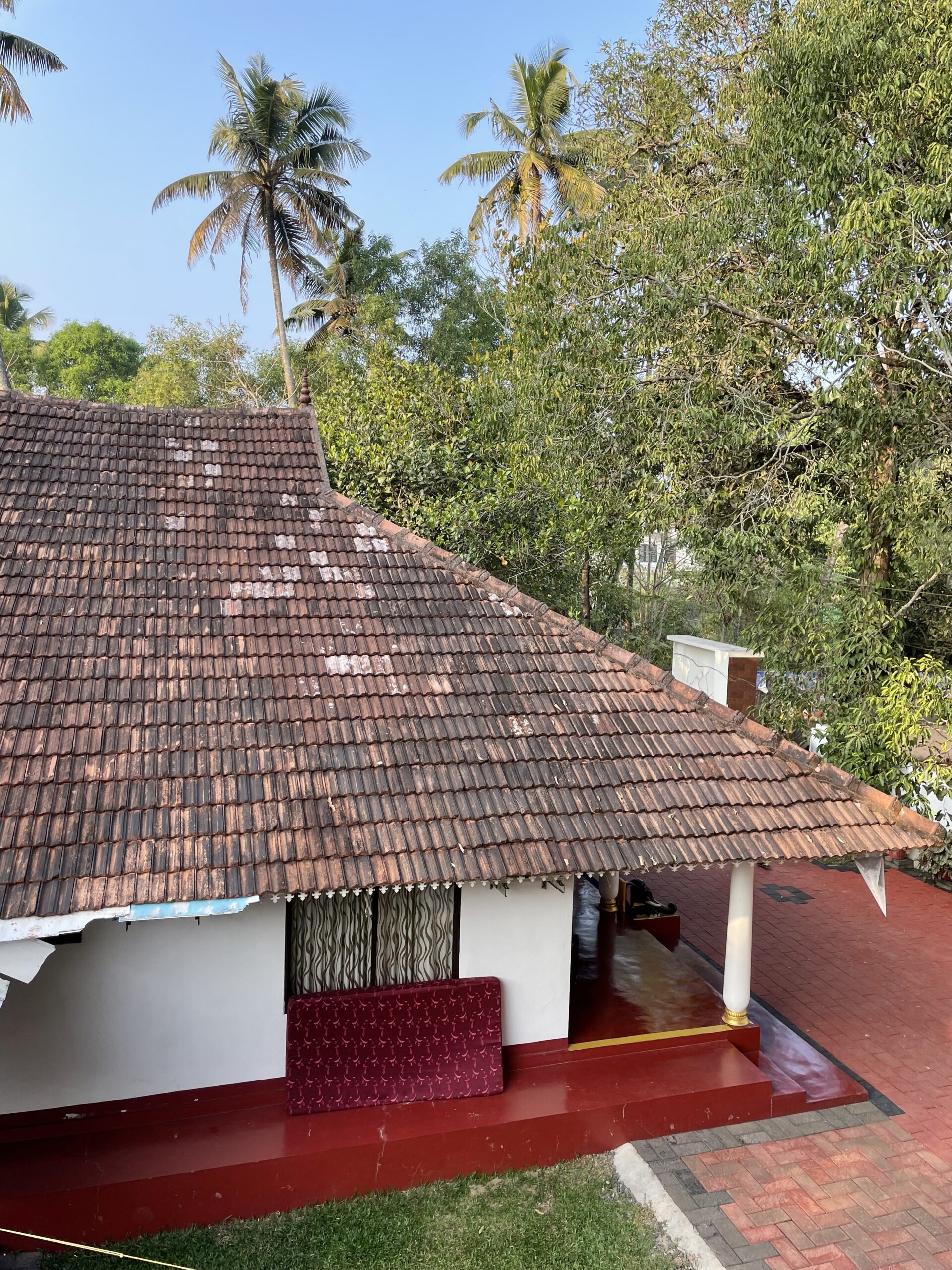 Vue_chambre_Sea_scape_home_stay_marari_beach_keralajpg